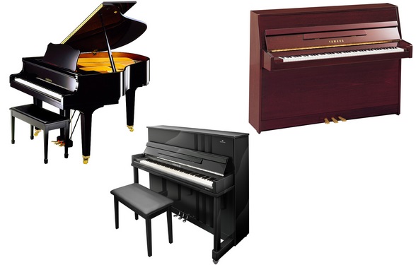 Galería DURC : Desde 1919